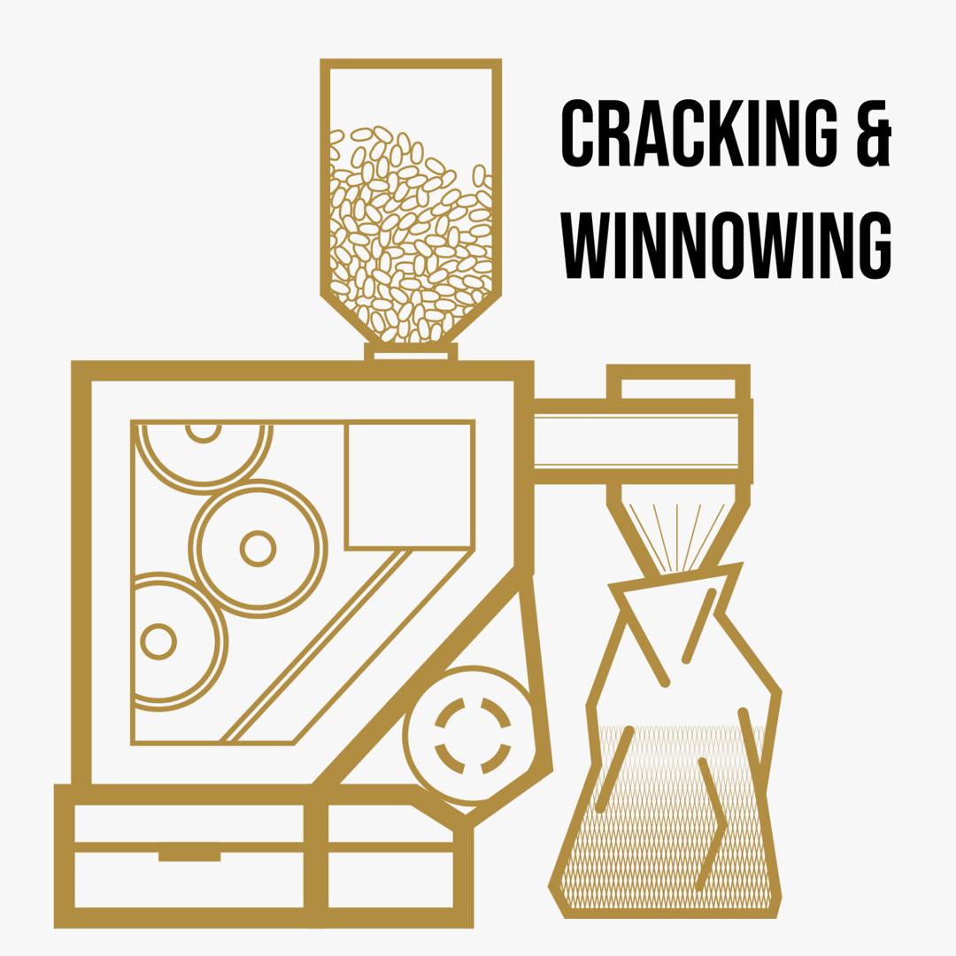 ➅ Cracking & Winnowing