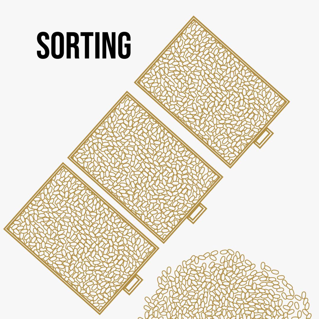 ➃ Sorting